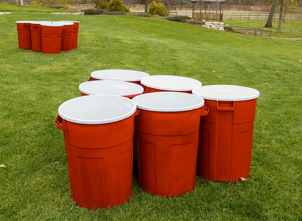 Giant Bear Pong